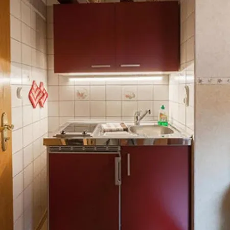 Ferienwohnung 21 Vier Napoleonslinden 바트줄차